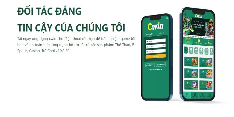 cwin-6
